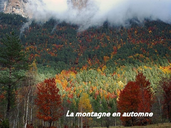 La montagne en automne 