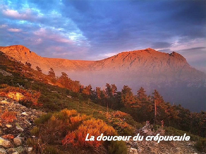 La douceur du crépuscule 