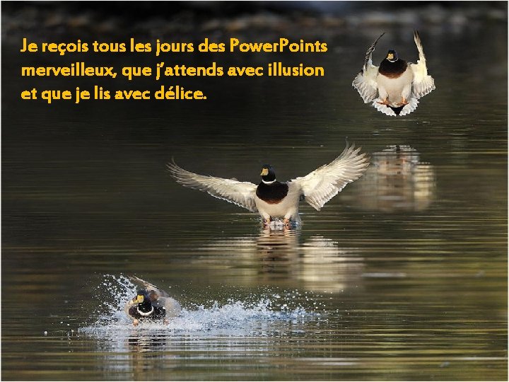 Je reçois tous les jours des Power. Points merveilleux, que j’attends avec illusion et