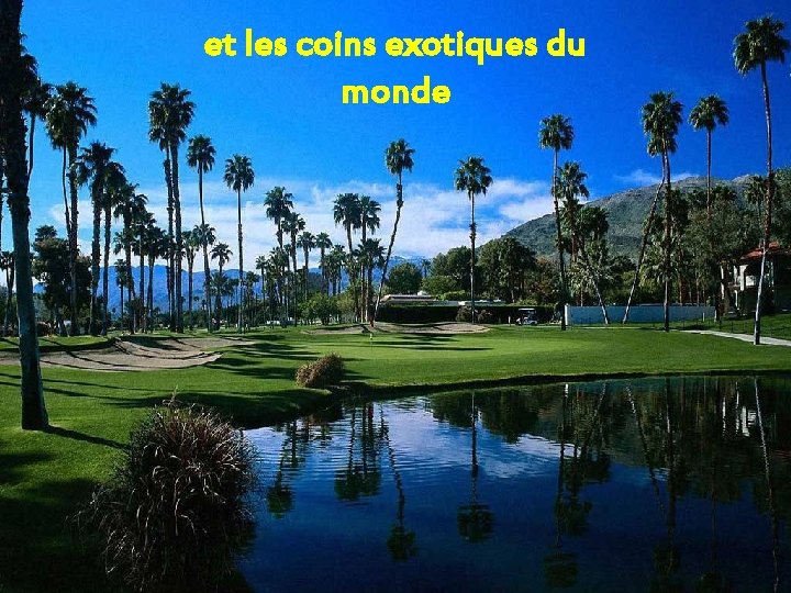 et les coins exotiques du monde 