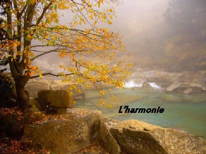 L’harmonie 