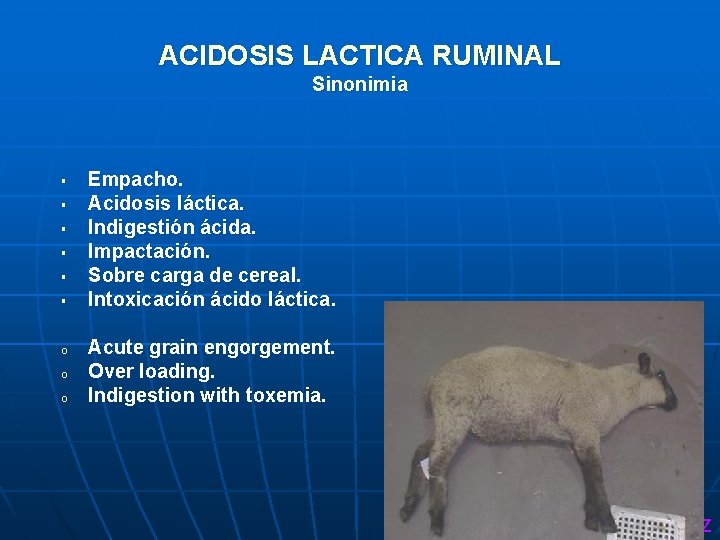 ACIDOSIS LACTICA RUMINAL Sinonimia § § § o o o Empacho. Acidosis láctica. Indigestión