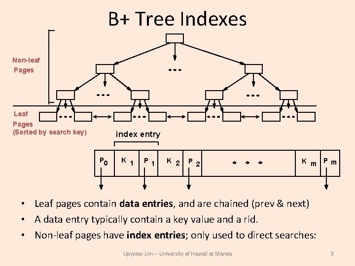 B+ Tree Indexes Non-leaf Pages Leaf Pages (Sorted by search key) index entry P B+ Tree Indexes Non-leaf Pages Leaf Pages (Sorted by search key) index entry P