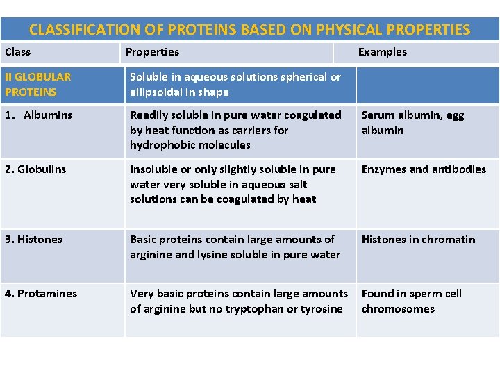 CLASSIFICATION OF PROTEINS BASED ON PHYSICAL PROPERTIES Class Properties Examples II GLOBULAR PROTEINS Soluble