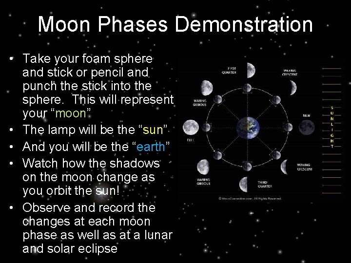 Moon Phases Demonstration • Take your foam sphere and stick or pencil and punch