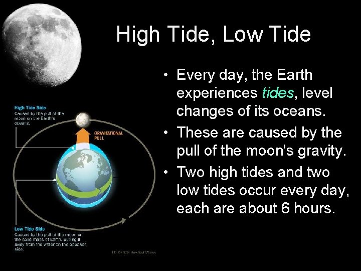 High Tide, Low Tide • Every day, the Earth experiences tides, level changes of