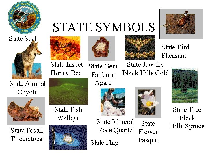 STATE SYMBOLS State Seal State Bird Pheasant State Insect State Gem State Jewelry Honey