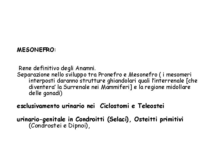 MESONEFRO: Rene definitivo degli Anamni. Separazione nello sviluppo tra Pronefro e Mesonefro ( i