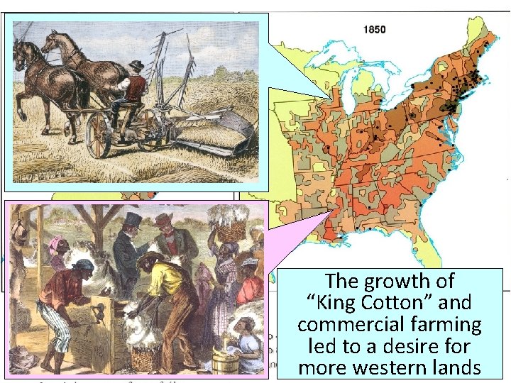 The growth of “King Cotton” and commercial farming led to a desire for more