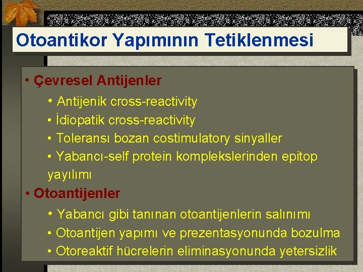 Otoantikor Yapımının Tetiklenmesi • Çevresel Antijenler • Antijenik cross-reactivity • İdiopatik cross-reactivity • Toleransı