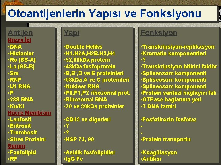 Otoantijenlerin Yapısı ve Fonksiyonu Antijen Hücre İçi • DNA • Histonlar • Ro (SS-A)