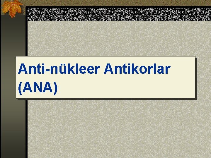 Anti-nükleer Antikorlar (ANA) 