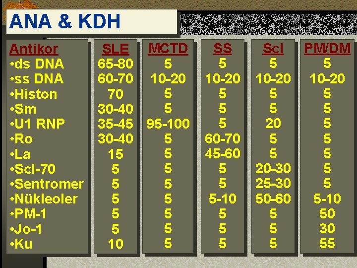 ANA & KDH Antikor • ds DNA • ss DNA • Histon • Sm