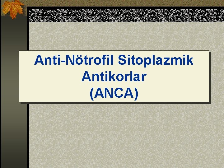 Anti-Nötrofil Sitoplazmik Antikorlar (ANCA) 