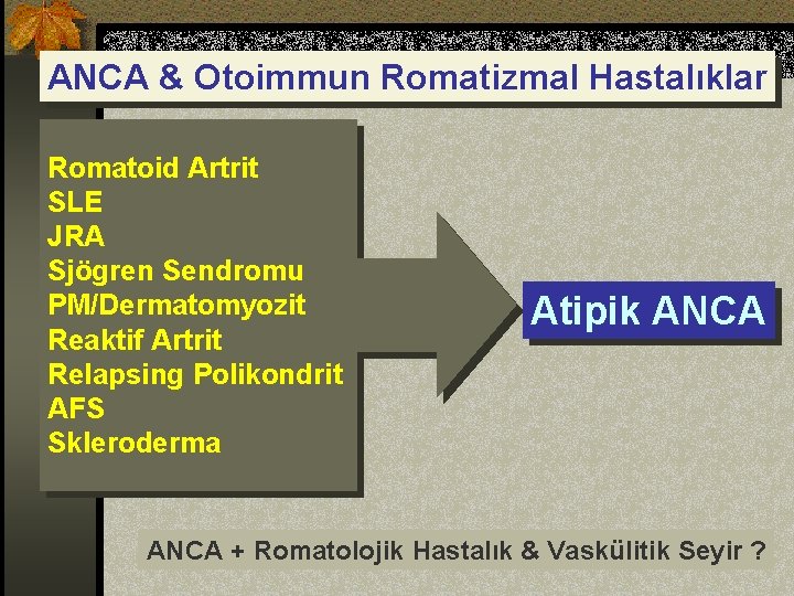 ANCA & Otoimmun Romatizmal Hastalıklar Romatoid Artrit SLE JRA Sjögren Sendromu PM/Dermatomyozit Reaktif Artrit