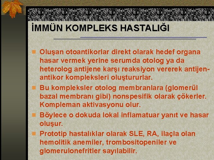 İMMÜN KOMPLEKS HASTALIĞI n Oluşan otoantikorlar direkt olarak hedef organa hasar vermek yerine serumda