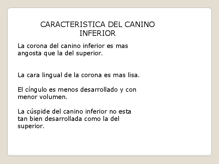 CARACTERISTICA DEL CANINO INFERIOR La corona del canino inferior es mas angosta que la