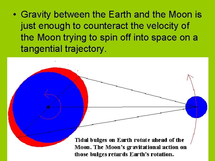 • Gravity between the Earth and the Moon is just enough to counteract • Gravity between the Earth and the Moon is just enough to counteract