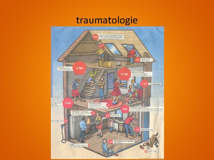 traumatologie 