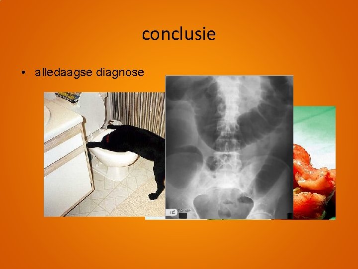 conclusie • alledaagse diagnose 