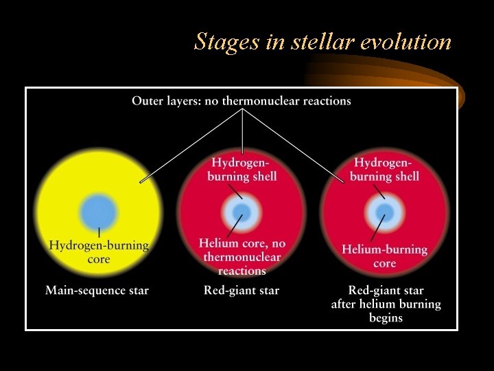Stages in stellar evolution Stages in stellar evolution