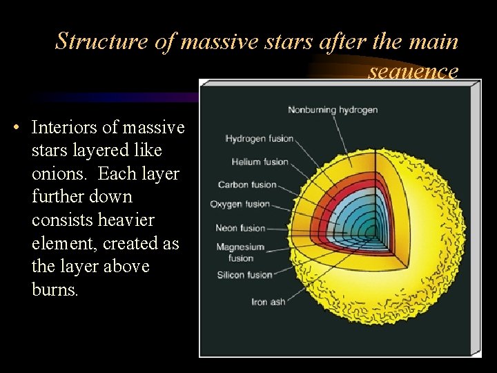 Structure of massive stars after the main sequence • Interiors of massive stars layered Structure of massive stars after the main sequence • Interiors of massive stars layered