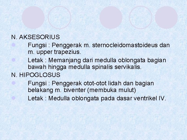 N. AKSESORIUS l Fungsi : Penggerak m. sternocleidomastoideus dan m. upper trapezius. l Letak