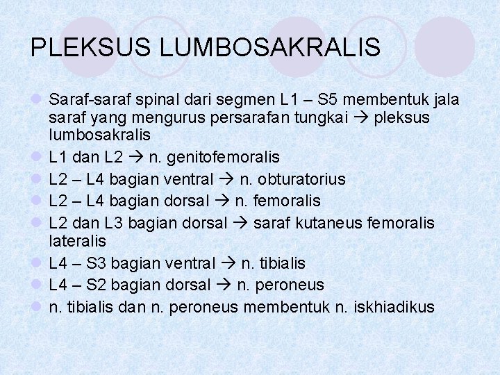 PLEKSUS LUMBOSAKRALIS l Saraf-saraf spinal dari segmen L 1 – S 5 membentuk jala