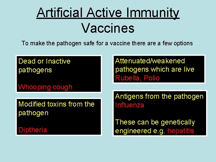 Artificial Active Immunity Vaccines To make the pathogen safe for a vaccine there a