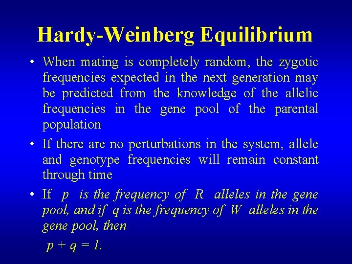 Hardy-Weinberg Equilibrium • When mating is completely random, the zygotic frequencies expected in the