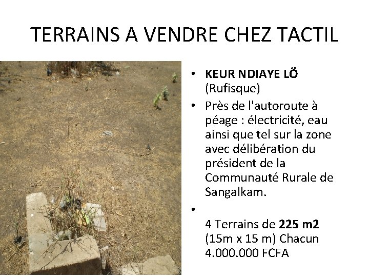 TERRAINS A VENDRE CHEZ TACTIL • KEUR NDIAYE LÖ (Rufisque) • Près de l'autoroute