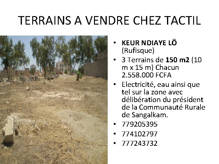 TERRAINS A VENDRE CHEZ TACTIL • KEUR NDIAYE LÖ (Rufisque) • 3 Terrains de