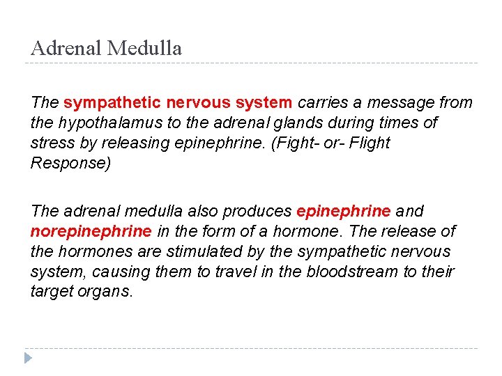 Adrenal Medulla The sympathetic nervous system carries a message from the hypothalamus to the