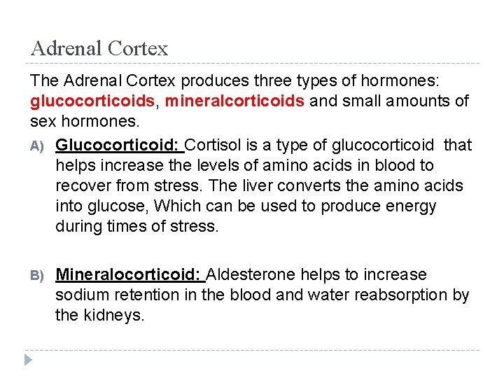 Adrenal Cortex The Adrenal Cortex produces three types of hormones: glucocorticoids, mineralcorticoids and small