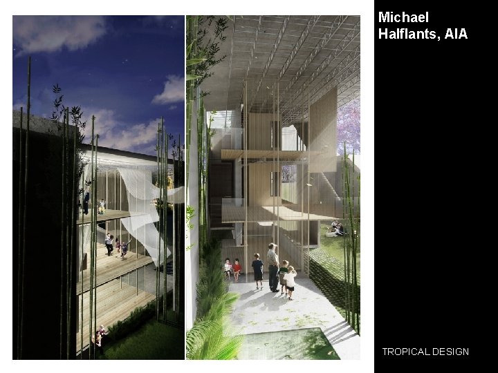 Michael Halflants, AIA TROPICAL DESIGN 