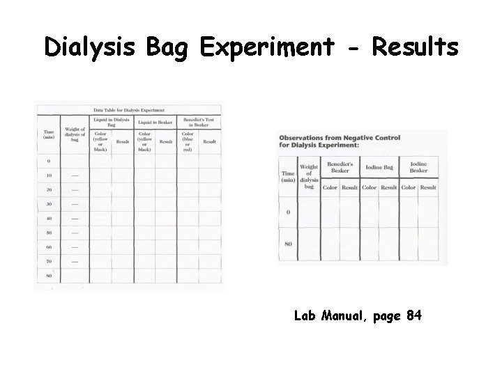 Dialysis Bag Experiment - Results Lab Manual, page 84 