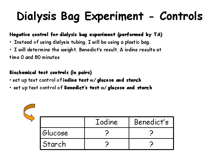 Dialysis Bag Experiment - Controls Negative control for dialysis bag experiment (performed by TA)