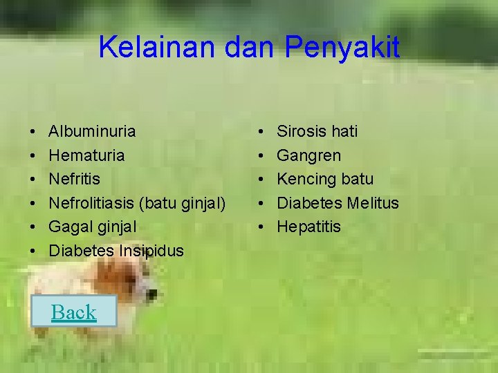 Kelainan dan Penyakit • • • Albuminuria Hematuria Nefritis Nefrolitiasis (batu ginjal) Gagal ginjal
