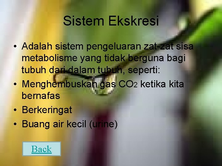 Sistem Ekskresi • Adalah sistem pengeluaran zat-zat sisa metabolisme yang tidak berguna bagi tubuh