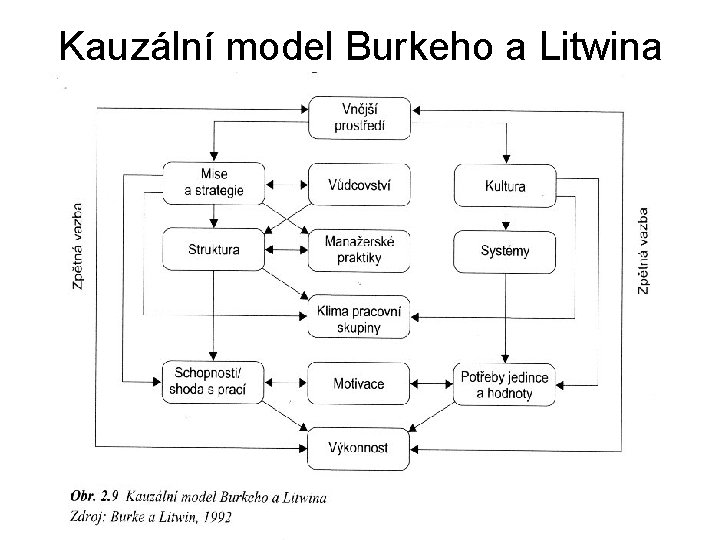 Kauzální model Burkeho a Litwina 