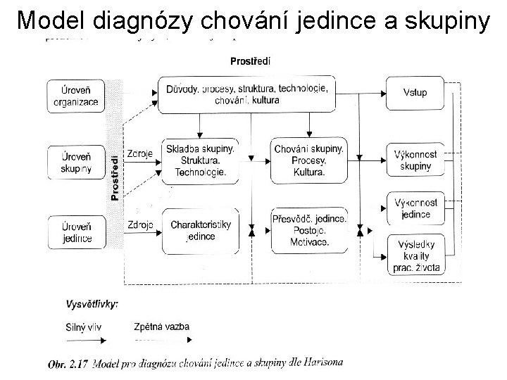 Model diagnózy chování jedince a skupiny 