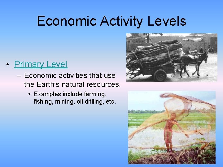 Economic Activity Levels • Primary Level – Economic activities that use the Earth’s natural