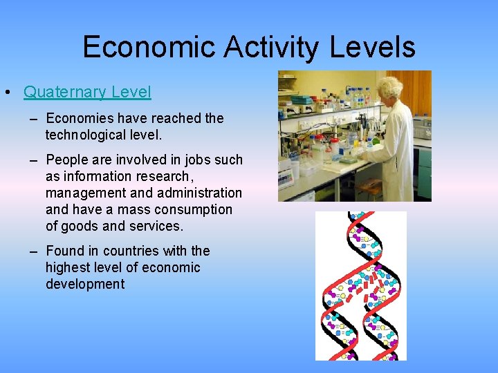 Economic Activity Levels • Quaternary Level – Economies have reached the technological level. –