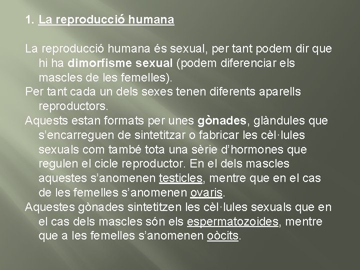 1. La reproducció humana és sexual, per tant podem dir que hi ha dimorfisme