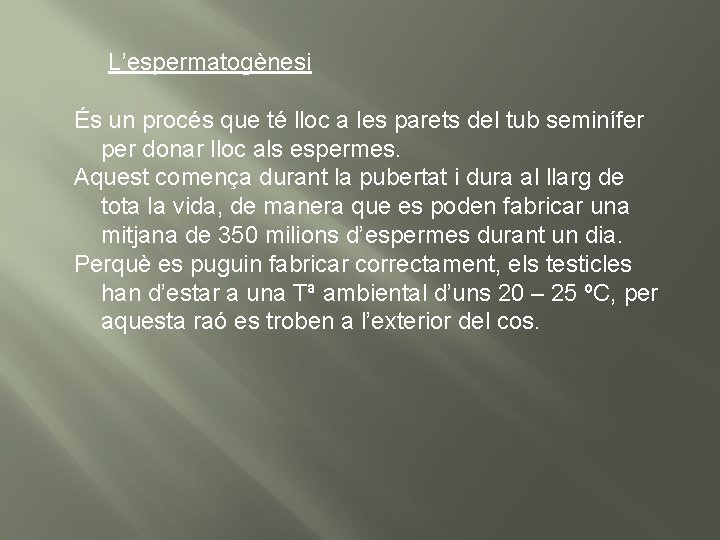 L’espermatogènesi És un procés que té lloc a les parets del tub seminífer per