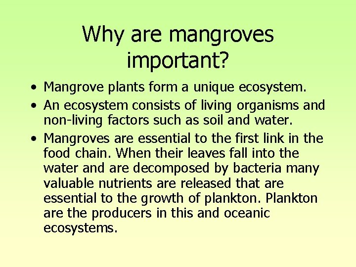 Why are mangroves important? • Mangrove plants form a unique ecosystem. • An ecosystem Why are mangroves important? • Mangrove plants form a unique ecosystem. • An ecosystem
