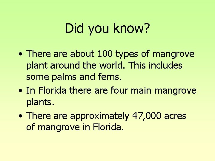 Did you know? • There about 100 types of mangrove plant around the world. Did you know? • There about 100 types of mangrove plant around the world.