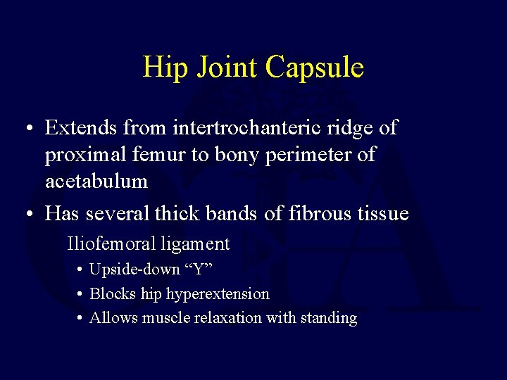 Hip Joint Capsule • Extends from intertrochanteric ridge of proximal femur to bony perimeter