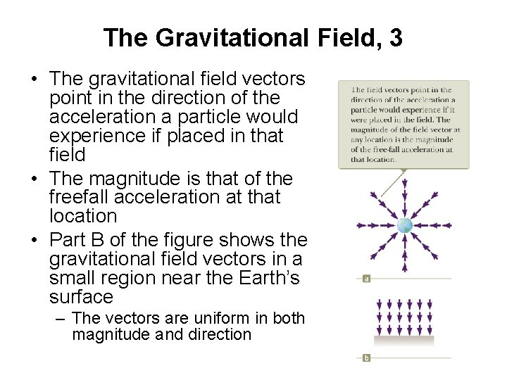 The Gravitational Field, 3 • The gravitational field vectors point in the direction of
