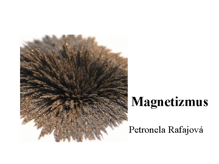 Magnetizmus Petronela Rafajová 